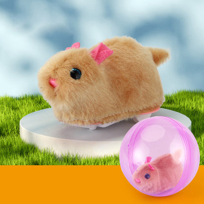 Bouncy Pet Play Ball Toy