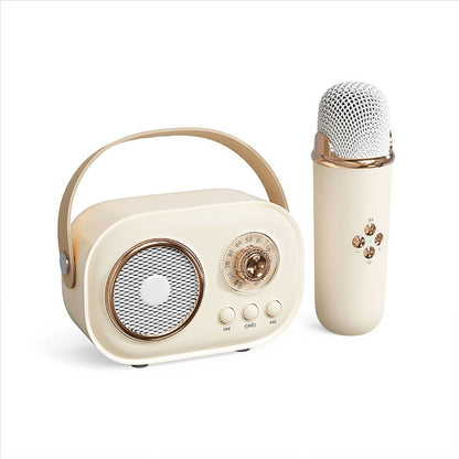 Wireless Karaoke Machine with Bluetooth Microphone