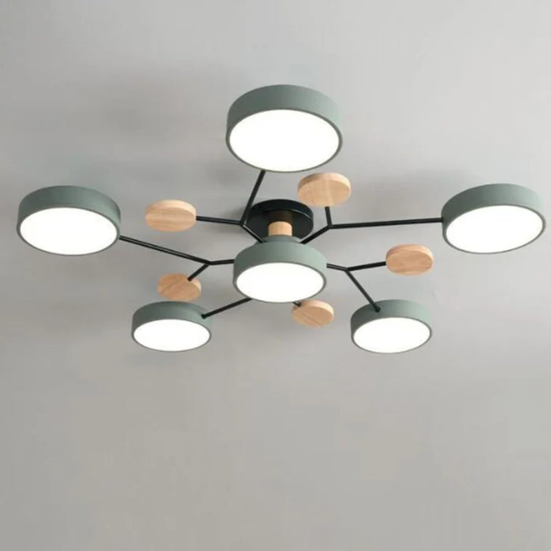 Modern Circular Overhead Lamp