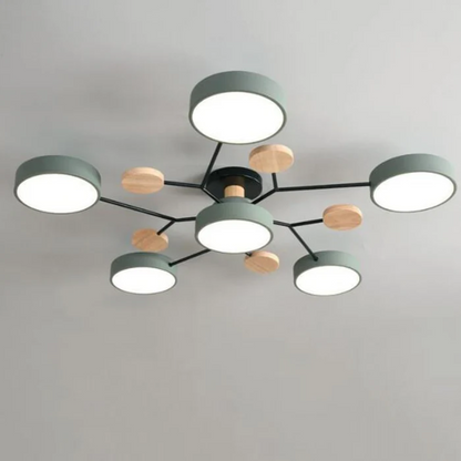 Modern Circular Overhead Lamp