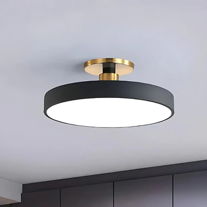 Contemporary Scandinavian LED Light Fixture