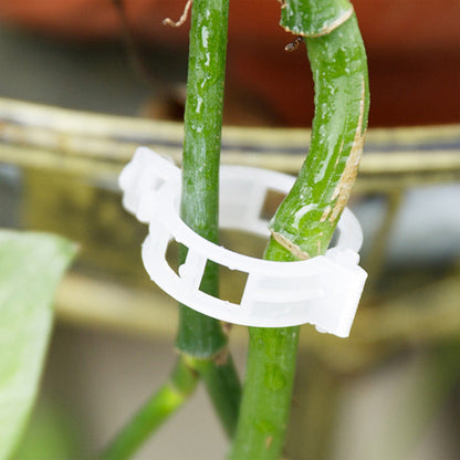 Easy Plant Stem Clip Holder