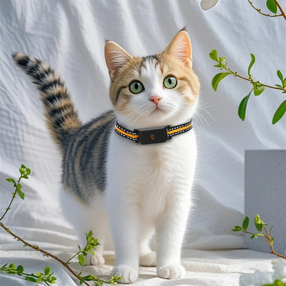 Accurate Pet Location GPS Tracking Collar