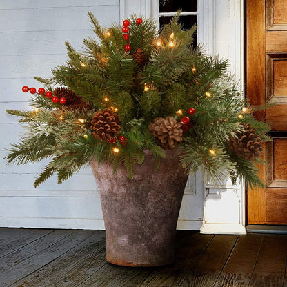 Premium | Bright Christmas String Lights