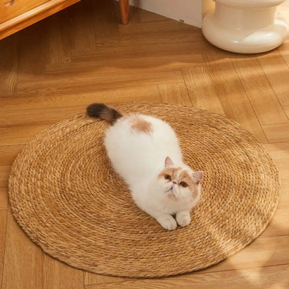 Pet Scratch Resistant Low Profile Mat