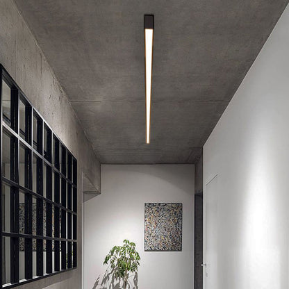 Slim Contemporary LED Ceiling Lamp for Home