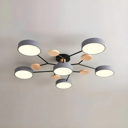 Sleek LED Ceiling Mount Lighting Fixture