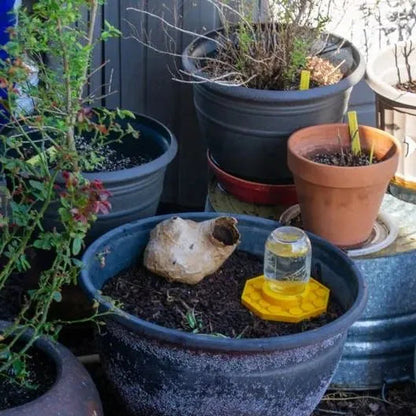 Best Bee House for Garden Wildlife Habitat
