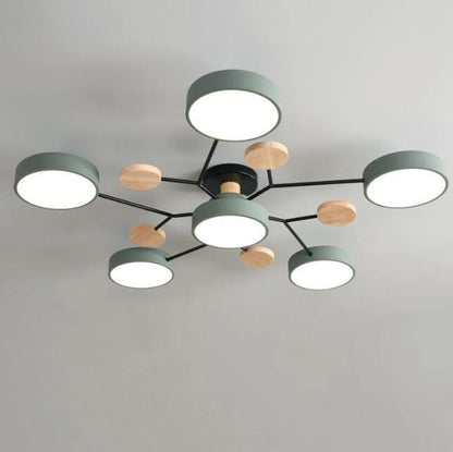Sleek LED Ceiling Mount Lighting Fixture