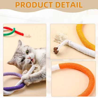Playful Kitten Entertainment Toy