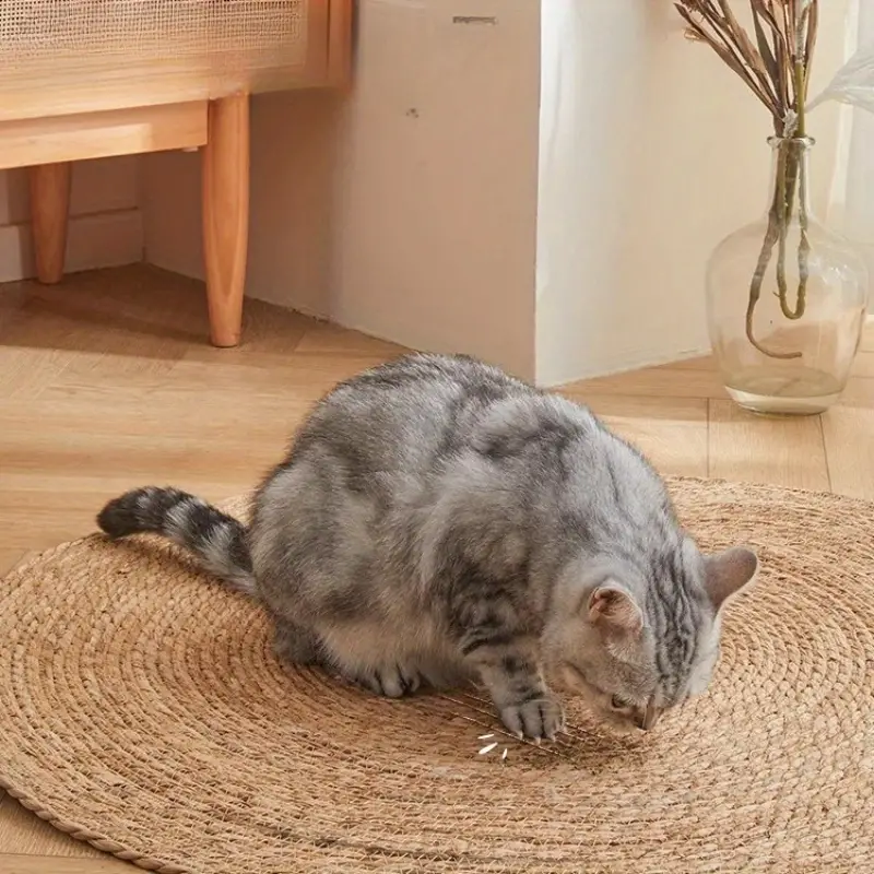 Pet Scratch Resistant Low Profile Mat