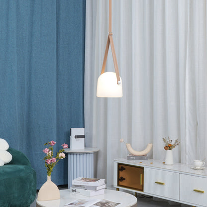 Modern Chrome Pendant Light Fixture