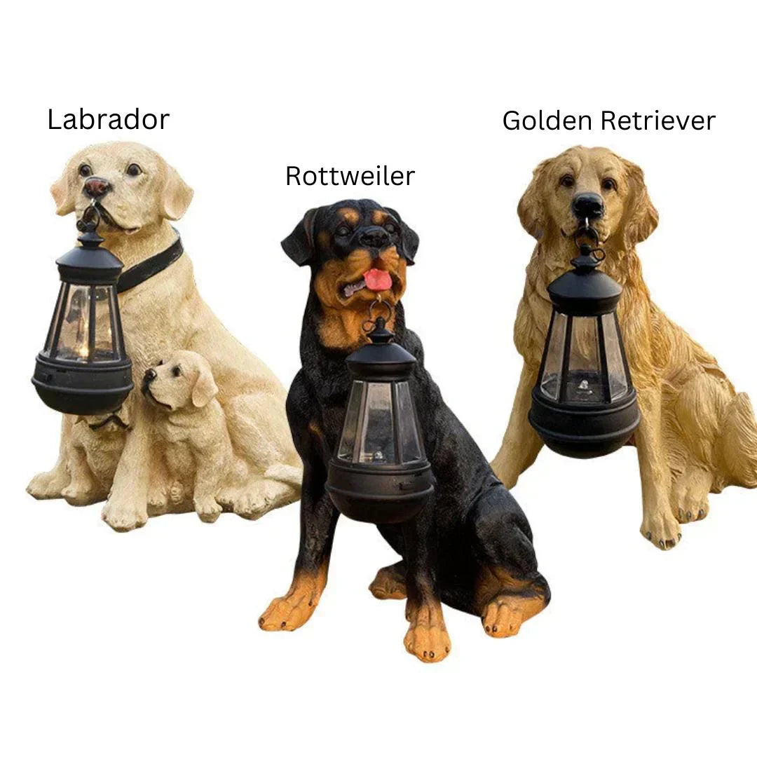 Outdoor Solar Powered Dog Garden Light