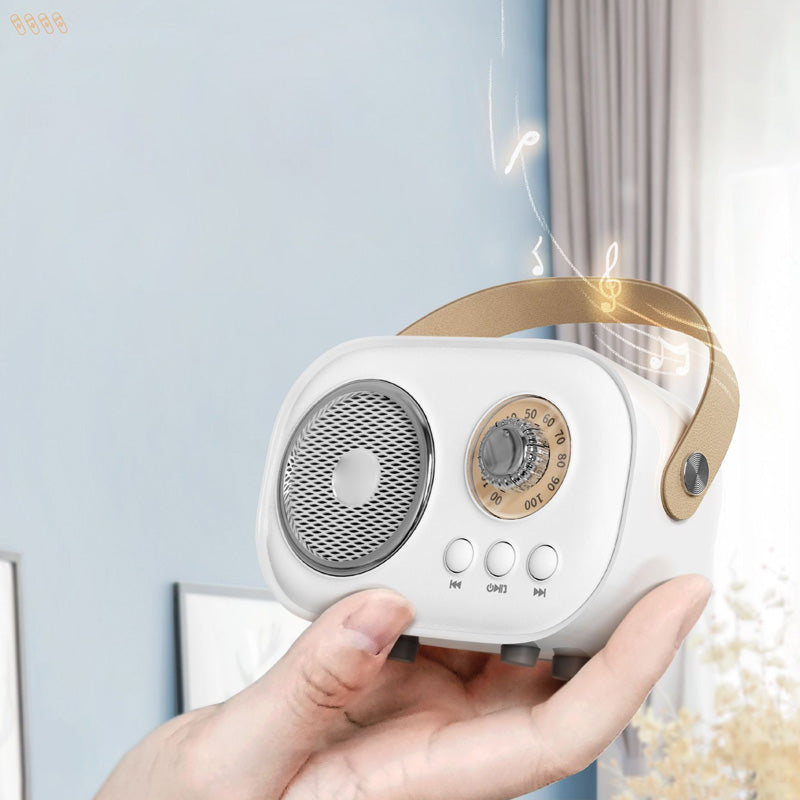 Compact Karaoke Machine & Bluetooth Wireless Speaker