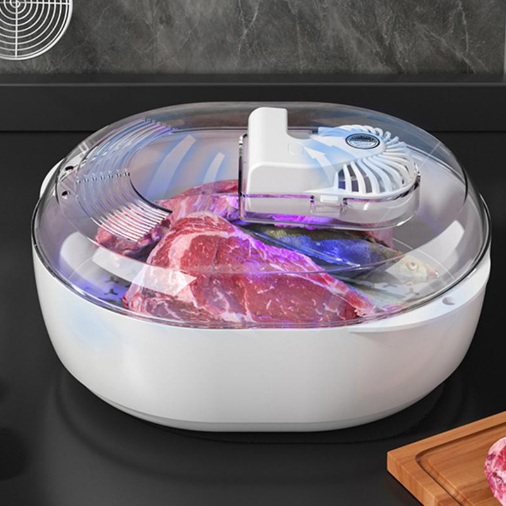 Fast 6-in-1 Food Defroster and Thawing Machine - Luxicro