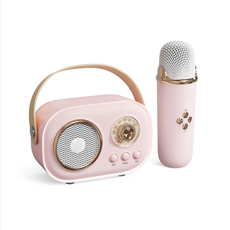 Wireless Karaoke Machine with Bluetooth Microphone