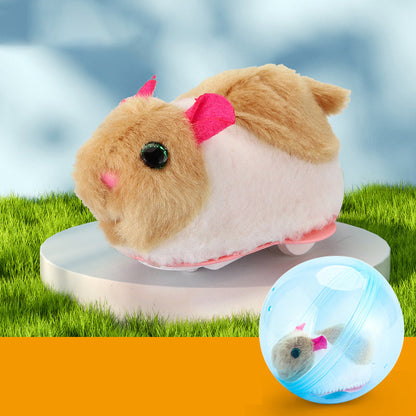 Bouncy Pet Play Ball Toy