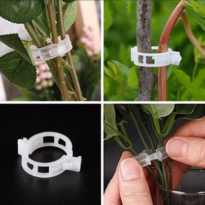 Easy Plant Stem Clip Holder