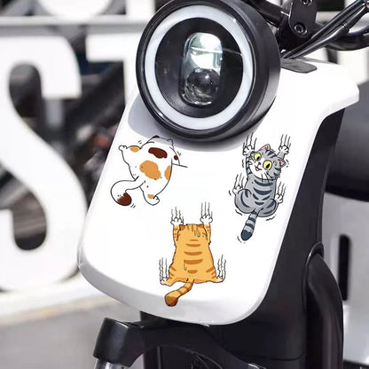 Funny Kitty Vehicle Decal Sticker