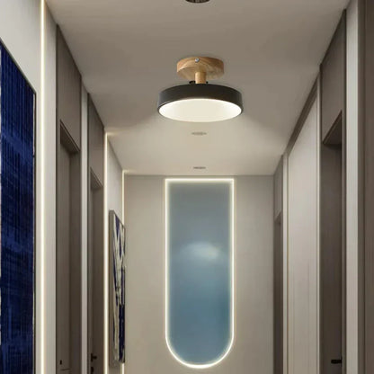Modern Thin LED Ceiling Lamp - Luxicro