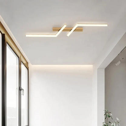 Premium LED Ceiling Light