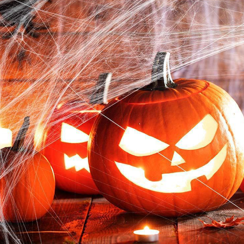Creepy Halloween Cobweb Decorations