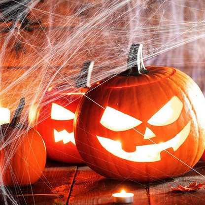 Creepy Halloween Cobweb Decorations