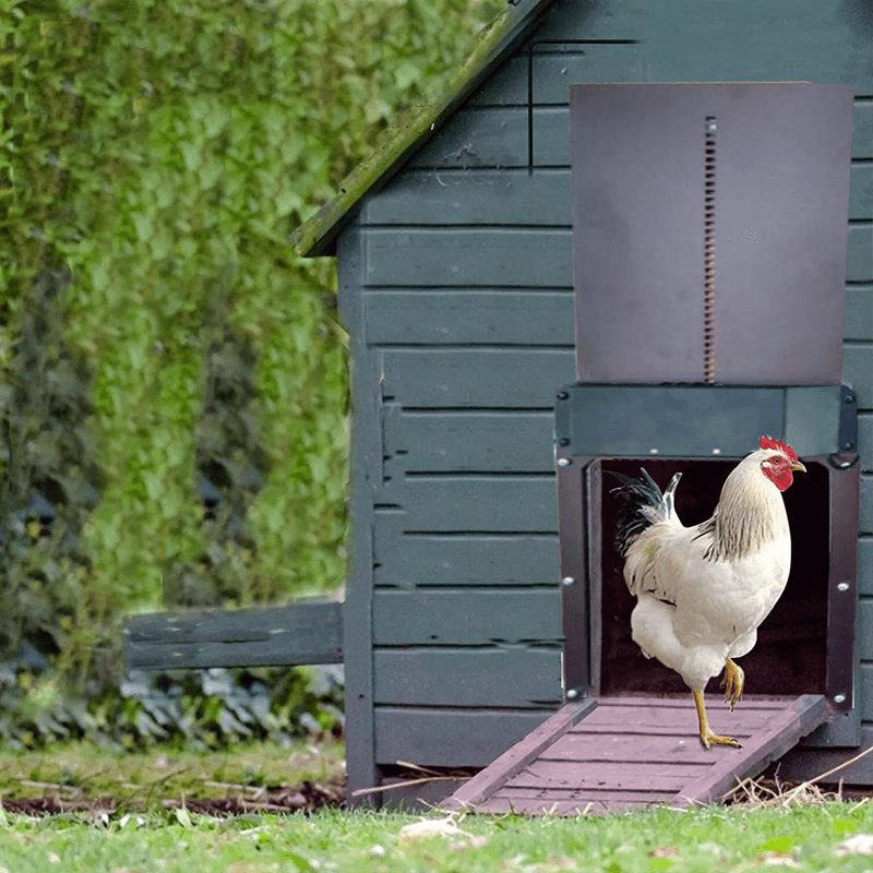 Simple Auto Chicken Coop Door Opener