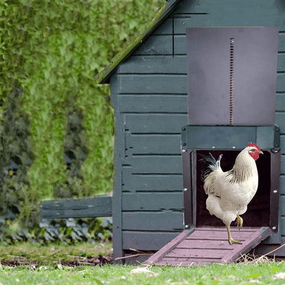 Simple Auto Chicken Coop Door Opener