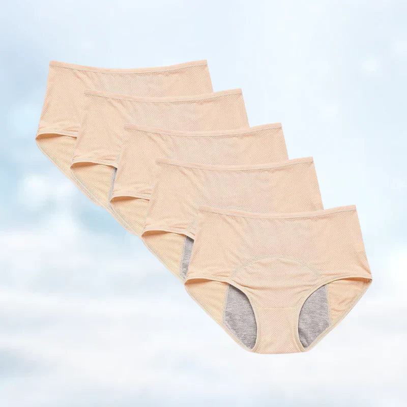 Comfortable Leak Proof Briefs (5 Pack Deal)