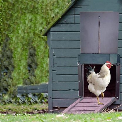 Automatic Chicken Coop Door Opening System