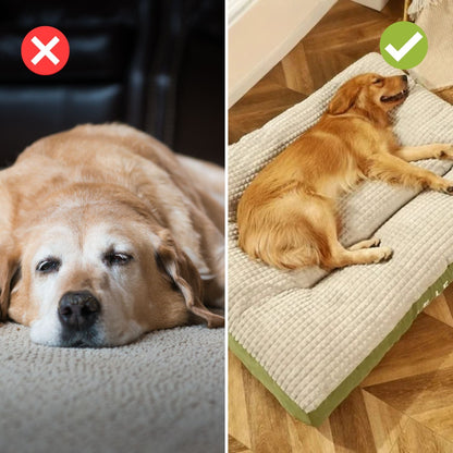 Plush Orthopedic Dog Bed - Durable Foam and Washable Cover