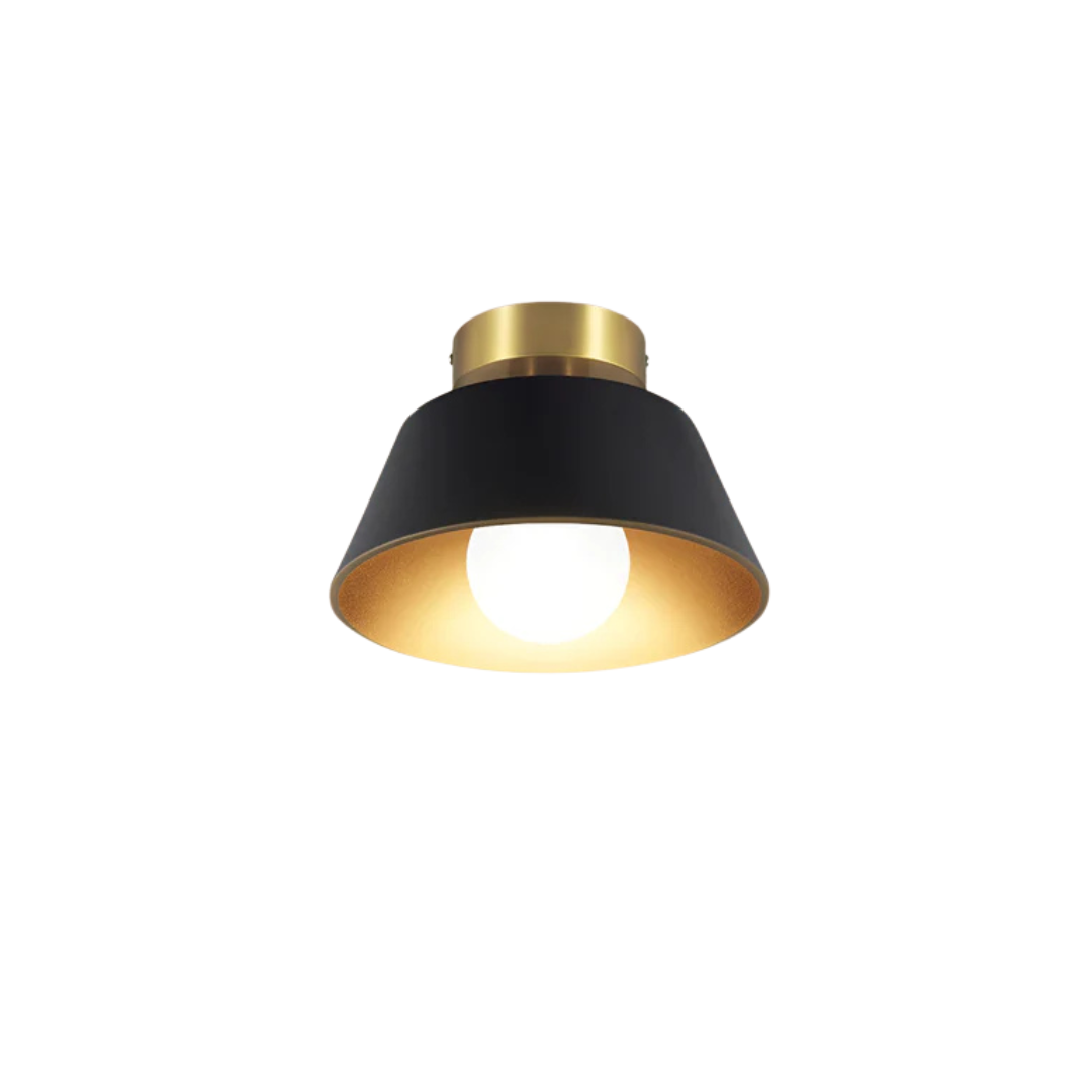Classic LED Ceiling Light Fitting