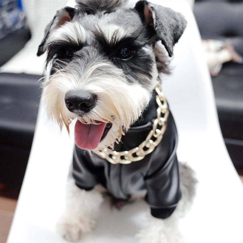 Luxury Pet Gold Chain Choker Collar