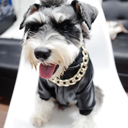 Luxury Pet Gold Chain Choker Collar