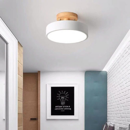 Modern Thin LED Ceiling Lamp
