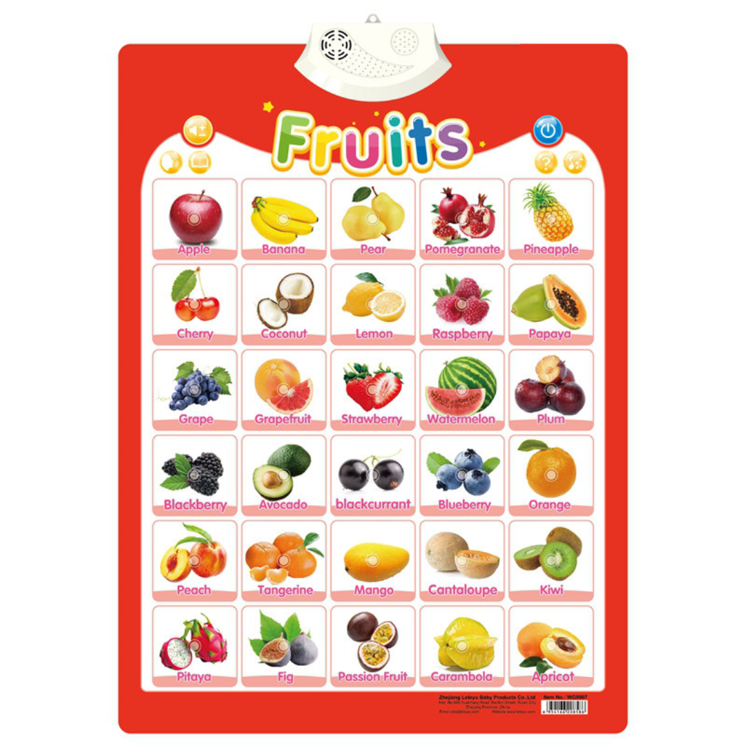 Kids Educational Sound Activity Board