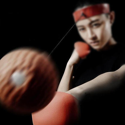 Pro Boxing Punching Training Set