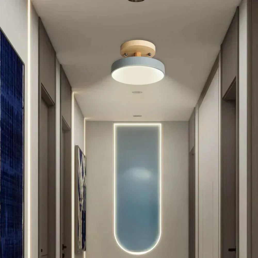Modern Thin LED Ceiling Lamp
