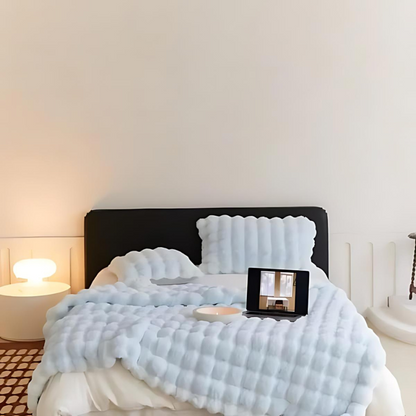 Cozy Fake Fur Warm Throw Blanket