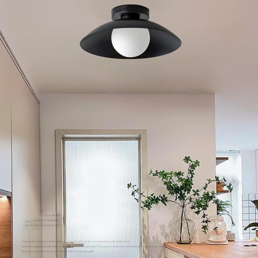 Elegant Modern LED Ceiling Lamp
