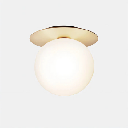 Bright LED Ceiling and Wall Lamp Fixtures