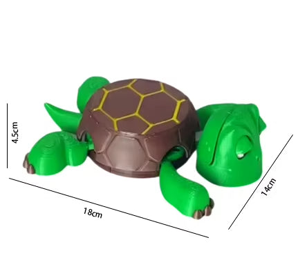 Fun Turtle Mug Coaster Set