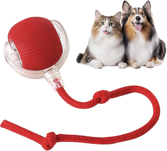 Fun Interactive Pet Toy