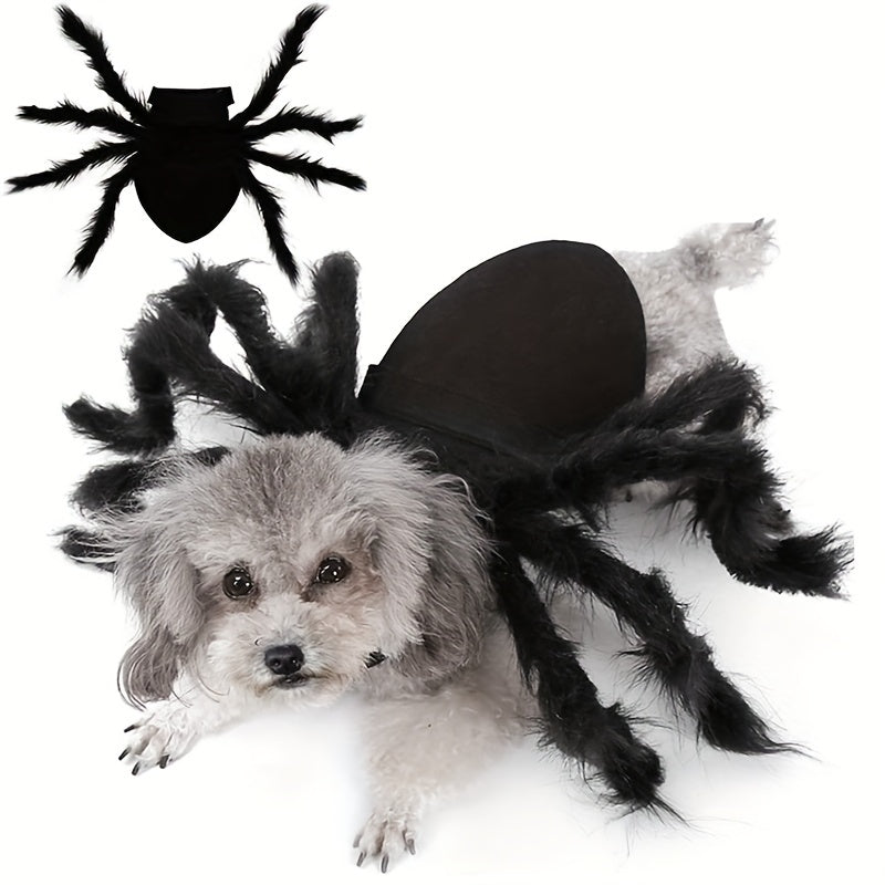 Funny Animal Spider Pet Costume