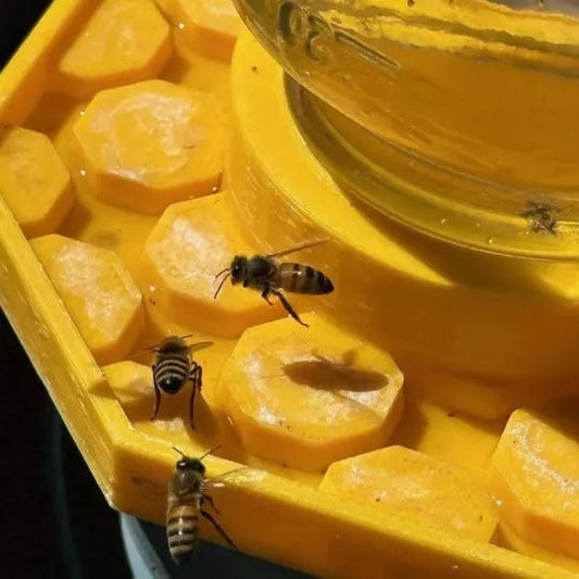 Best Bee House for Garden Wildlife Habitat - Luxicro