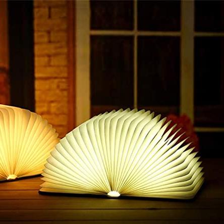 Stylish Novelty LED Table Lamp