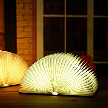 Stylish Novelty LED Table Lamp