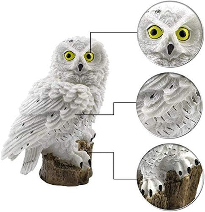 Outdoor Waterproof Solar Lamp