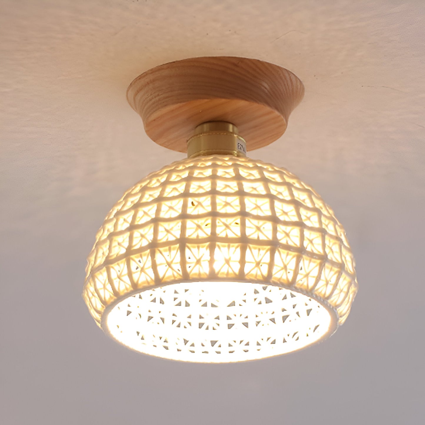 Simple Elegant White Ceiling Lamp - Luxicro